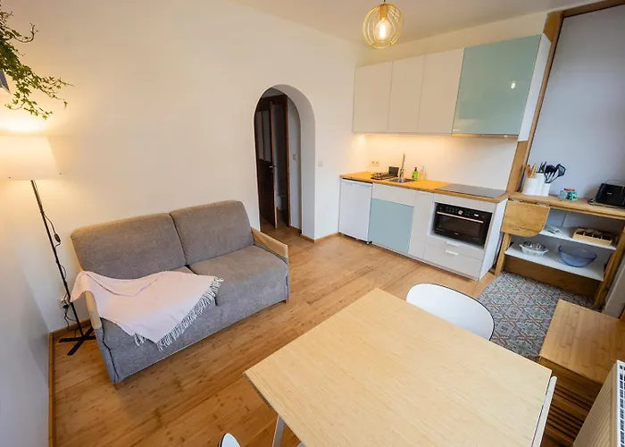 公寓 Au Petit Mouton *