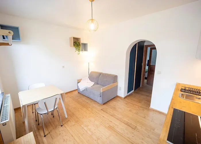 公寓 Au Petit Mouton *